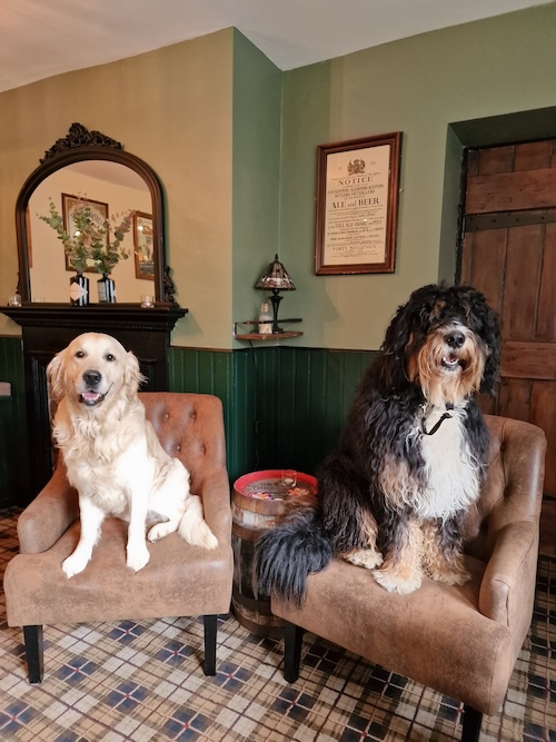 Our Bar is Dog Friendly