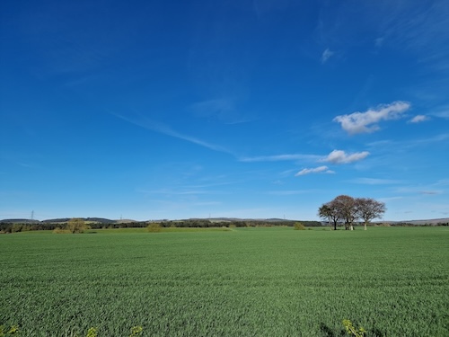 Stunning views of Northumbria